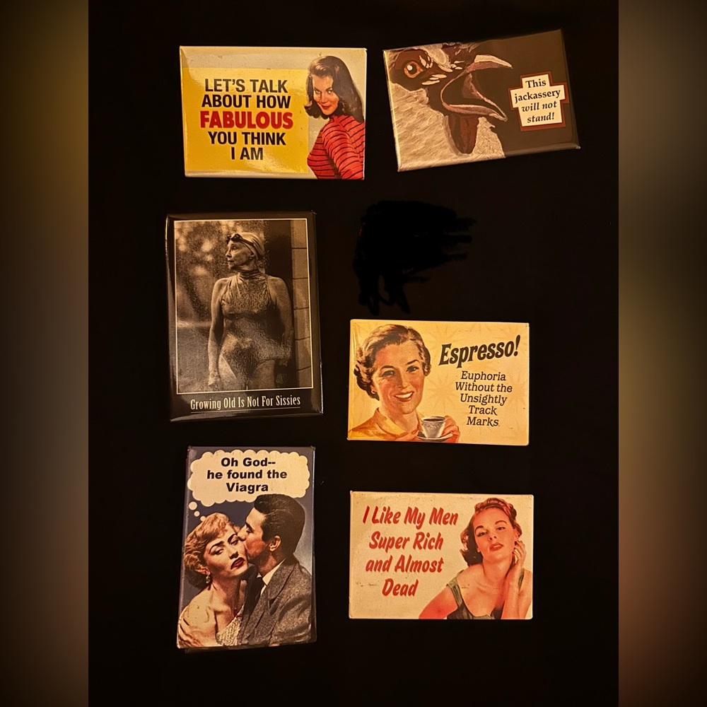 Irreverent Women Refrigerator Magnets